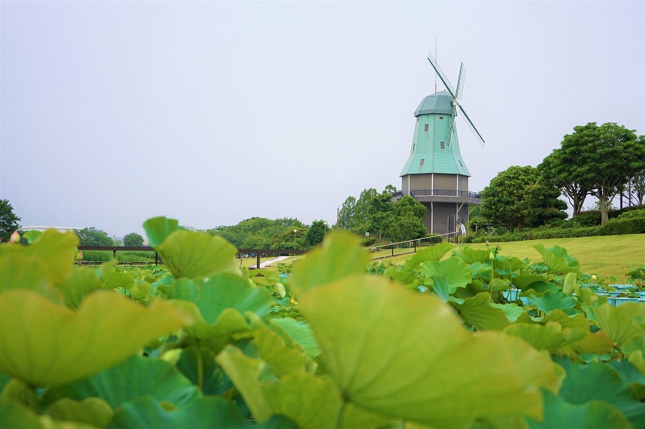 🔬 이바라키현 가스미가우라 환경과학센터 (이바라키켄카스미가우라칸쿄카가쿠센터) 이미지 8